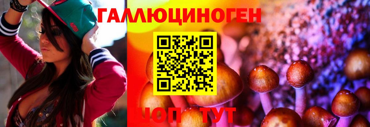Псилоцибиновые грибы прущие грибы  Псилоцибиновые грибы Psilocybine cubensis  Вход с VPN  Норильск 