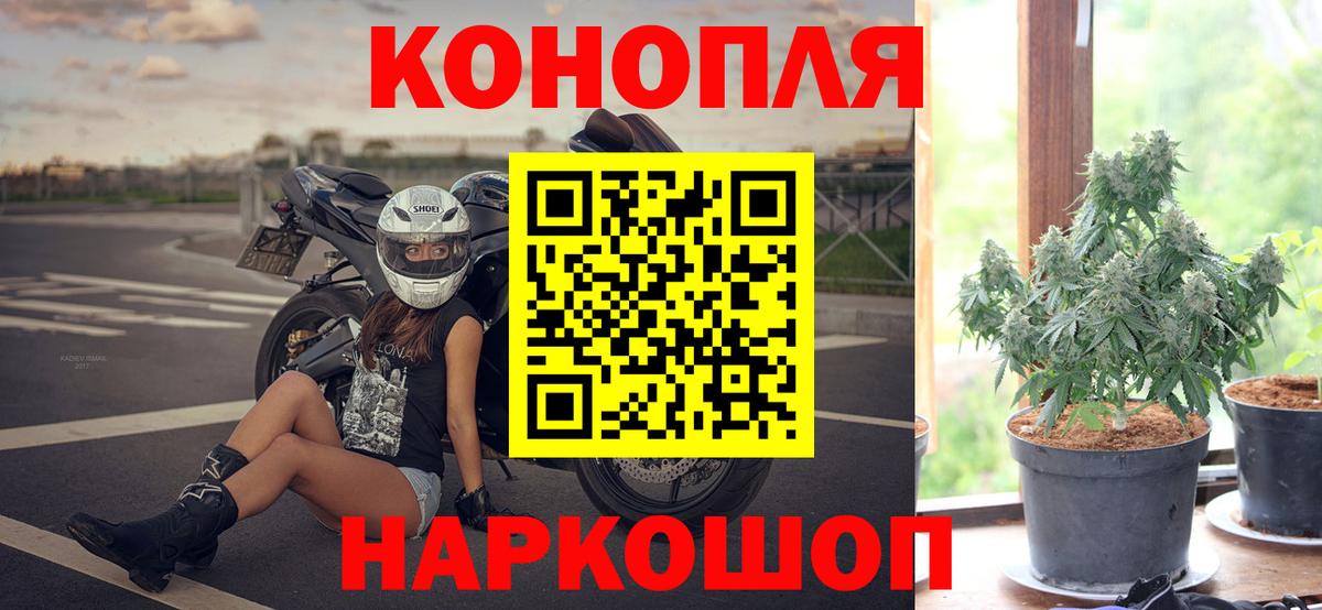 Бошки Шишки ГИДРОПОН  Вход с VPN  Конопля OG Kush  Норильск 